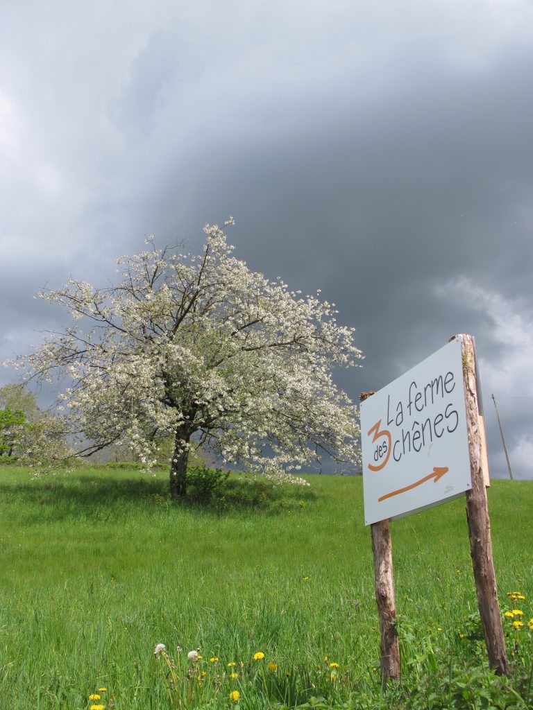 Ferme ouverte aux 3 chênes