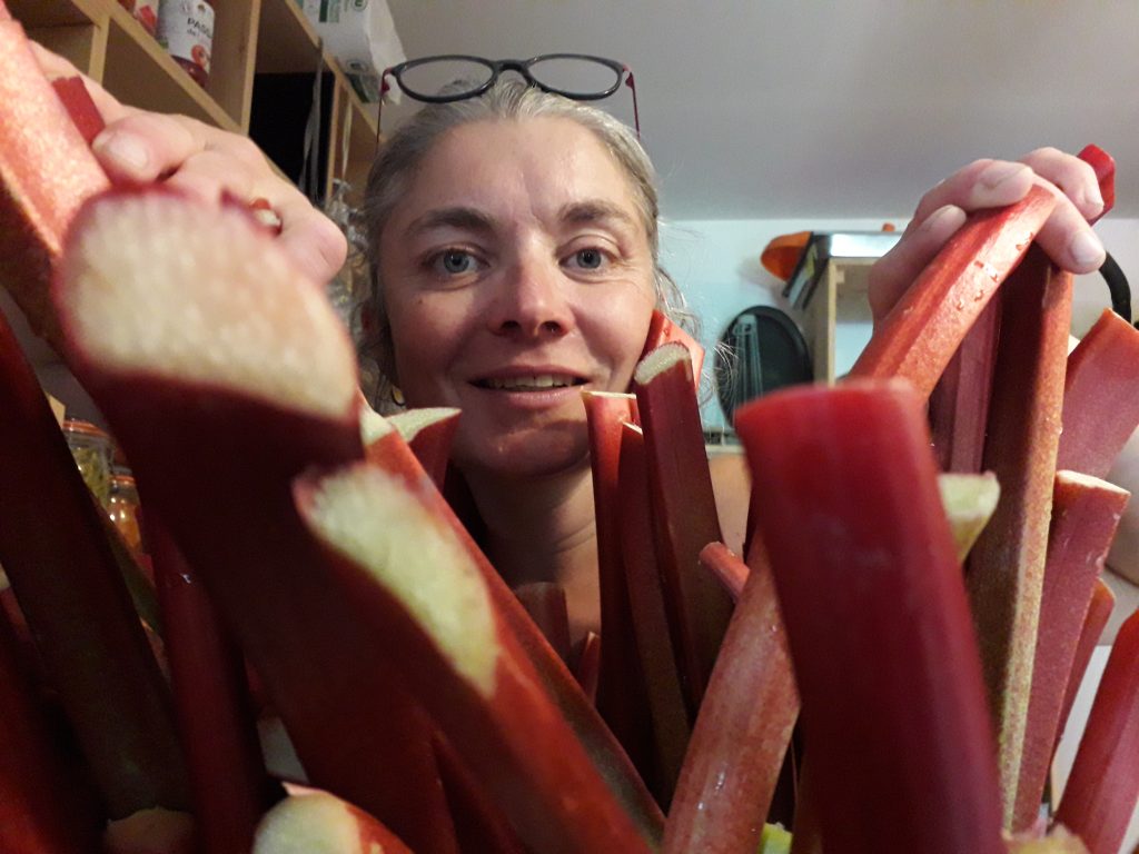 Découverte de la ferme De la fleur au fruit