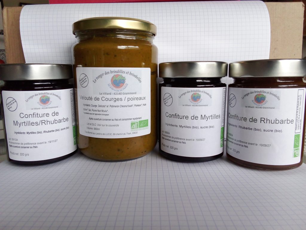 Découverte exploitation production myrtilles