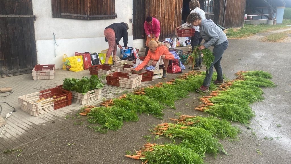 La ferme collective de L&rsquo;Amarante vous invite
