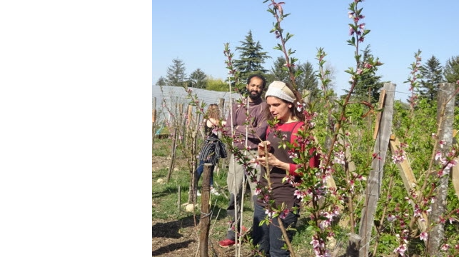 Visite de Jarditerre