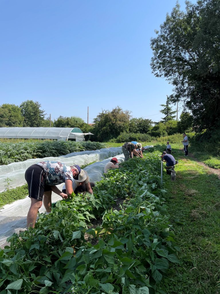 Portes ouvertes au jardin des Pot&rsquo;iront