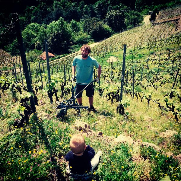 Visite d&rsquo;une ferme vigneronne