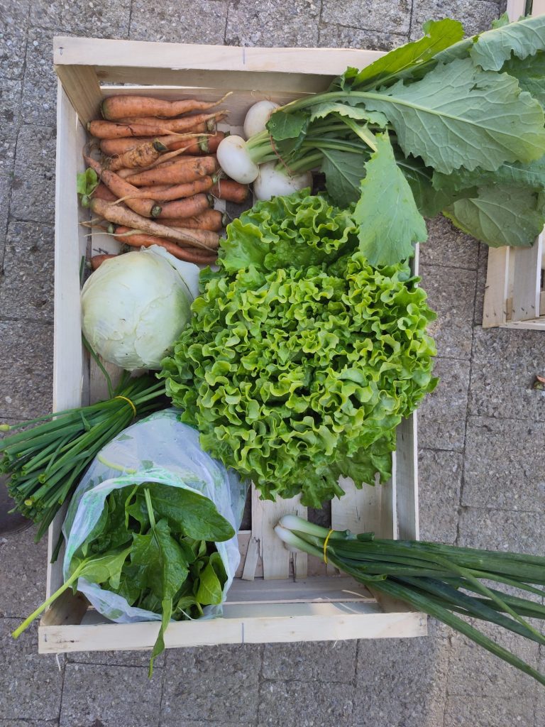 Les Rencontres de la Ferme de Corbattaz : fête du bio et local