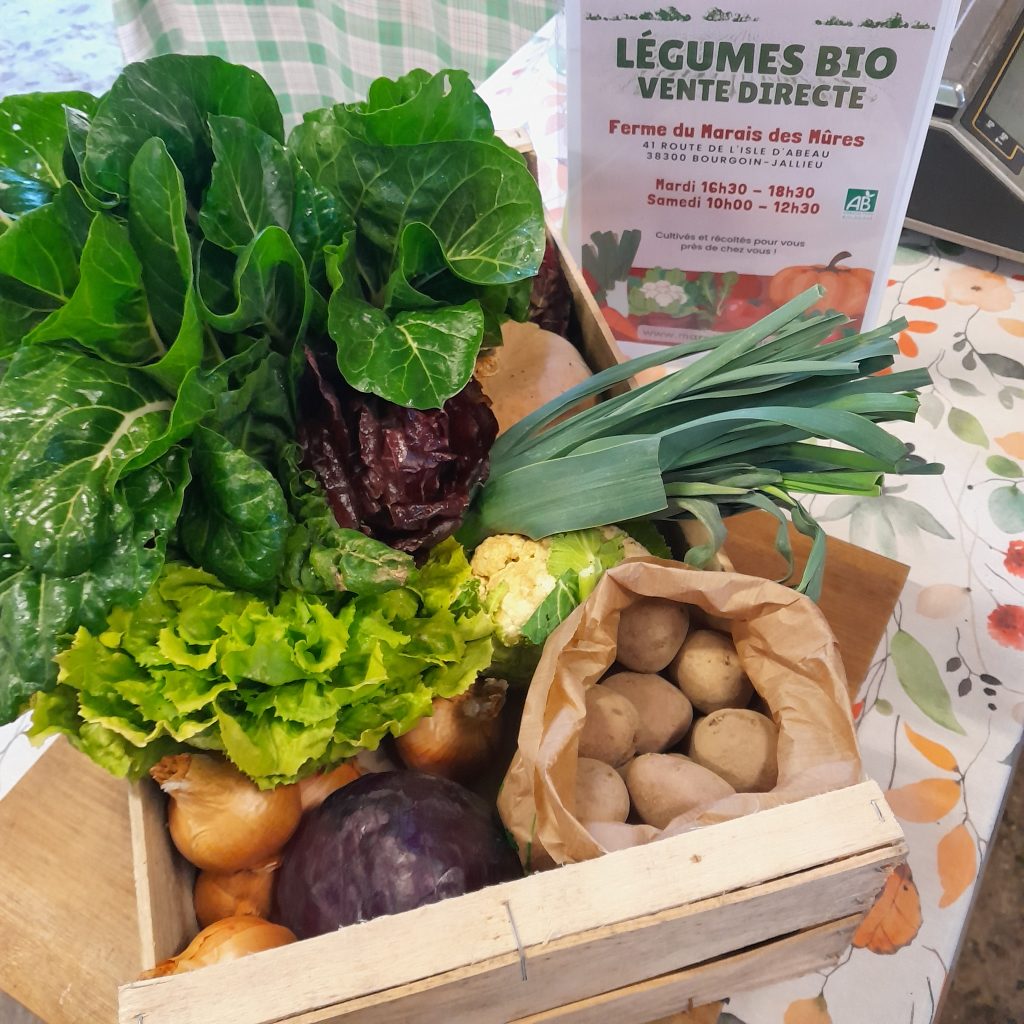 Marché de producteurs bio à la ferme
