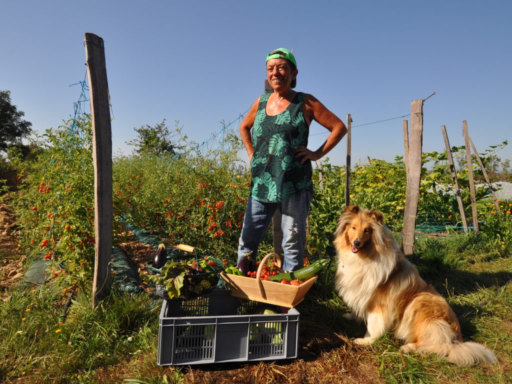 Le Potager d’Etoile vous accueille