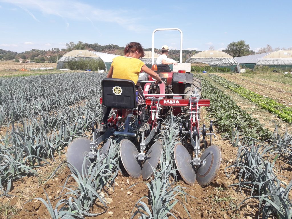 A la découverte d&rsquo;une ferme paysanne et biologique par l&rsquo;association Parenthèse/Graine de Cocagne